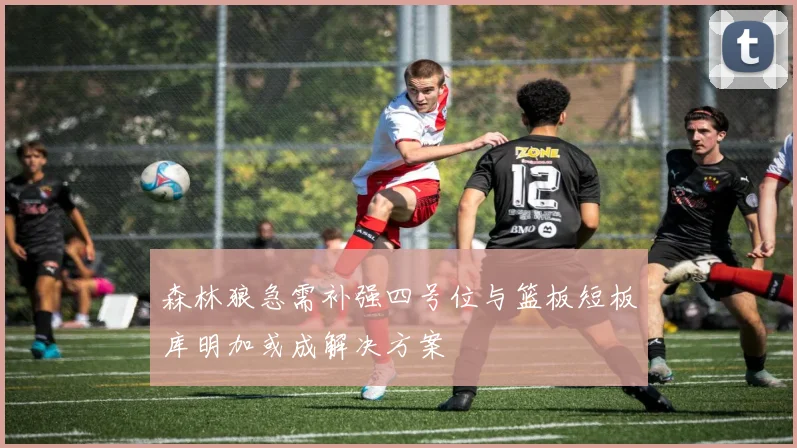 森林狼急需补强四号位与篮板短板库明加或成解决方案